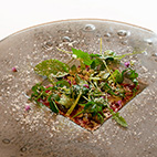 熊本県産馬刺し　フレッシュな本わさびのバーニャフレッダ