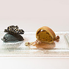 かぼちゃのトルタ　黒ゴマジェラート